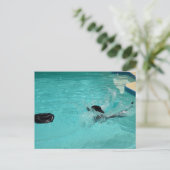Schwarzer Labrador Retriever Splashes Postkarte (Stehend Vorderseite)