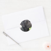 Schwarzer Labrador Retriever Sticker (Umschlag)