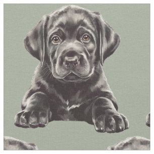 Schwarzer Labrador Retriever  Stoff