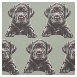 Schwarzer Labrador Retriever Stoff