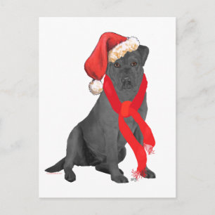 Schwarzer Labrador Retriever Weihnachten