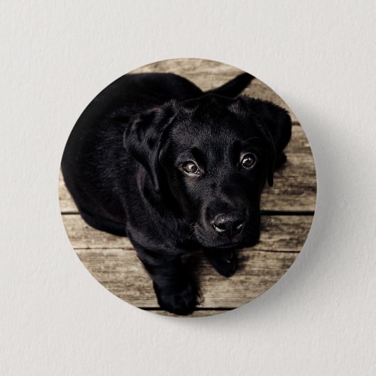 Schwarzer Labrador Retriever Welpe auf Holz Button (Vorderseite)