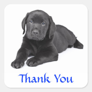 Schwarzer Labrador Retriever Welpe Danke Aufkleber