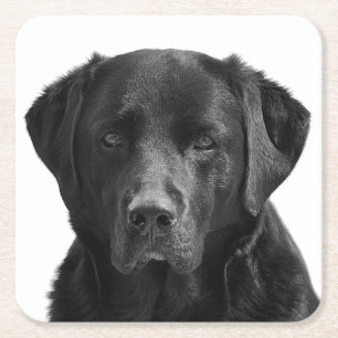Schwarzer Labrador Retriever Welpe Hund Rechteckiger Pappuntersetzer