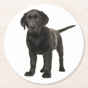 Schwarzer Labrador Retriever Welpe Hund Rote Liebe Runder Pappuntersetzer
