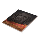 Schwarzer labrador retriever-Welpe in einem Korb Fliese (Seite)