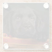 Schwarzer labrador retriever-Welpe in einem Korb Glasuntersetzer (Rückseite)