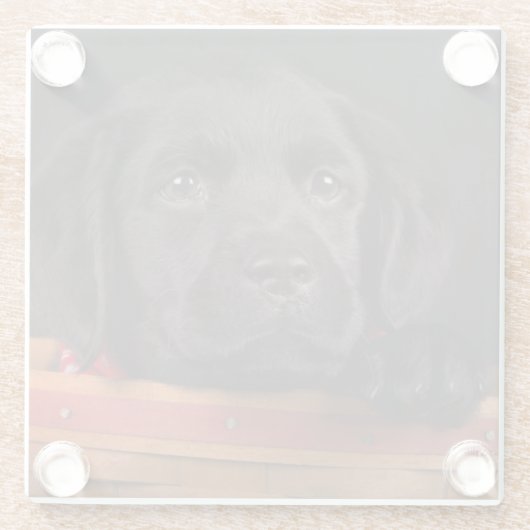 Schwarzer labrador retriever-Welpe in einem Korb Glasuntersetzer (Rückseite)