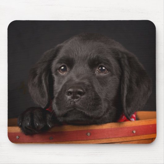 Schwarzer labrador retriever-Welpe in einem Korb Mousepad (Vorne)