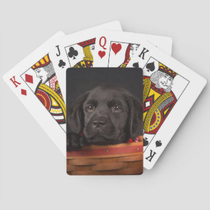 Schwarzer Labrador Retriever Welpe in einem Korb Spielkarten