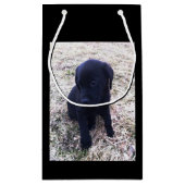 Schwarzer Labrador retriever-Welpe Kleine Geschenktüte (Rückseite)
