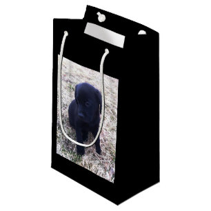 Schwarzer Labrador retriever-Welpe Kleine Geschenktüte