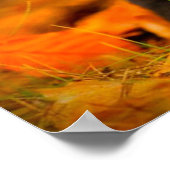 Schwarzer Labrador Retriever Welpe mit Herbstleave Poster (Ecke)