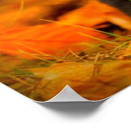 Schwarzer Labrador Retriever Welpe mit Herbstleave Poster (Ecke)