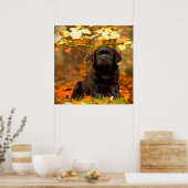 Schwarzer Labrador Retriever Welpe mit Herbstleave Poster (Küche)