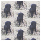 Schwarzer Labrador retriever-Welpe Stoff (Muster)