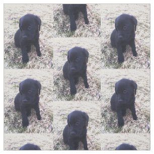 Schwarzer Labrador retriever-Welpe Stoff