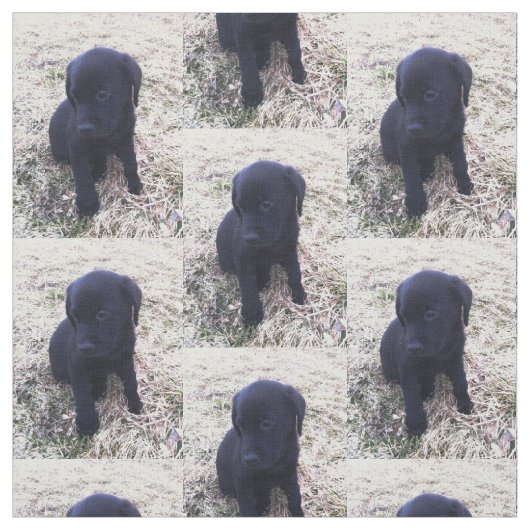 Schwarzer Labrador retriever-Welpe Stoff (Muster)