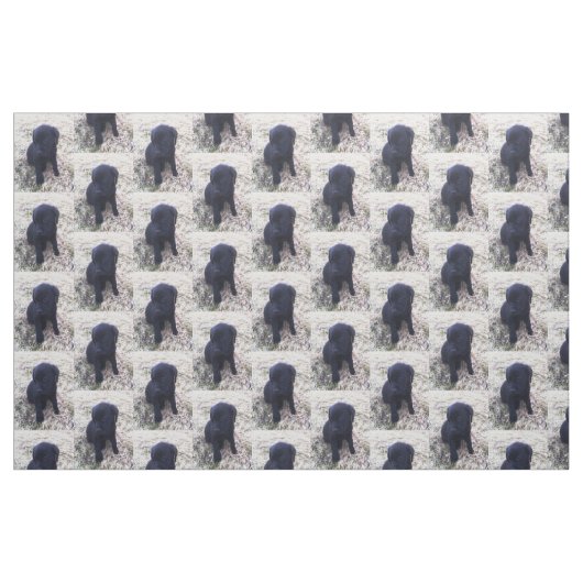 Schwarzer Labrador retriever-Welpe Stoff (Fat Quarter (45,7 x 55,9 cm))