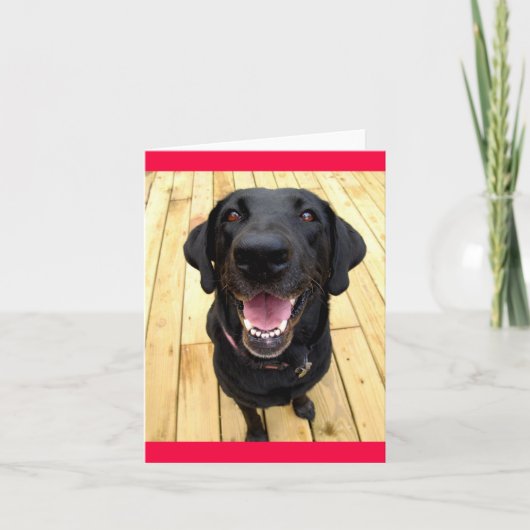 Schwarzer Labrador Retriever Welpenhund Leere Note Karte (Vorderseite)