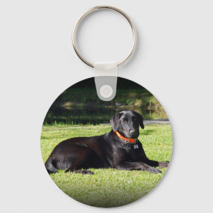 Schwarzer Labrador Schlüsselanhänger