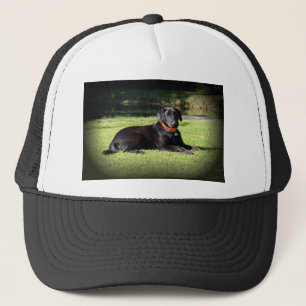 Schwarzer Labrador Truckerkappe