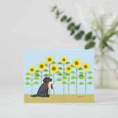 Schwarzer Labrador und Sonnenblumen Sommer Postkarte (Stehend Vorderseite)