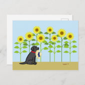 Schwarzer Labrador und Sonnenblumen Sommer Postkarte (Vorne/Hinten)