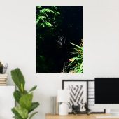 Schwarzer Labrador-Versteck. Poster (Heimbüro)