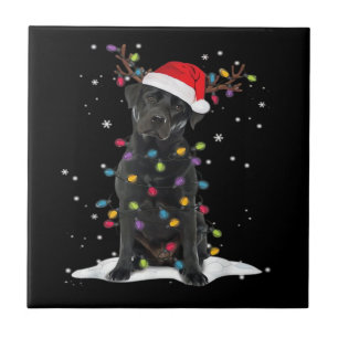 Schwarzer Labrador Weihnachts Hund Weihnachtsbaum Fliese