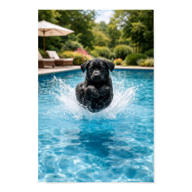 Schwarzer Labrador-Welpe beim Sprung ins Wasser