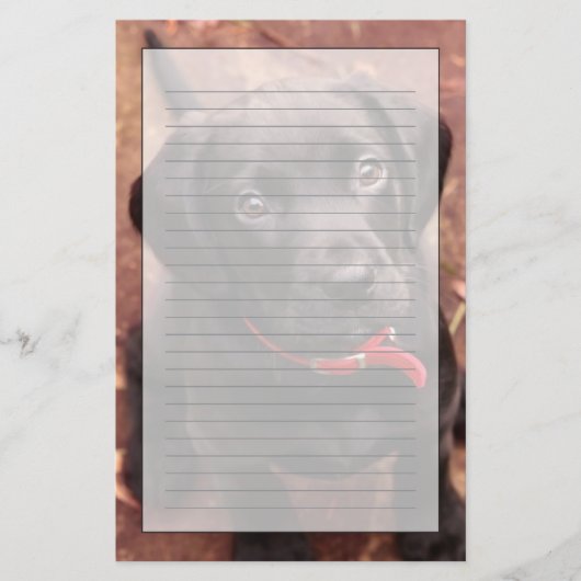 Schwarzer Labrador-Welpe Briefpapier (Vorderseite)