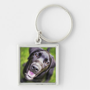 Schwarzer Labrador-Welpe, der aufwärts, Schlüsselanhänger