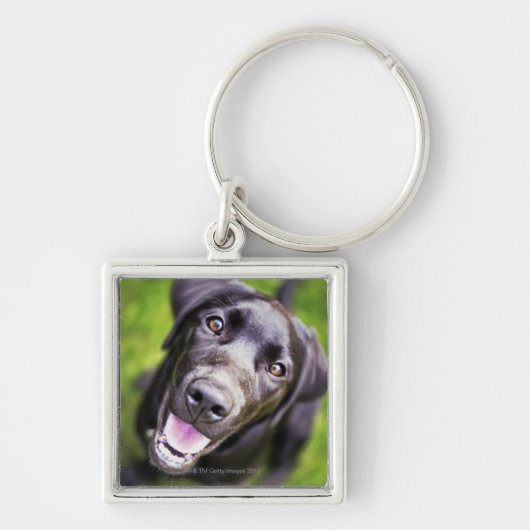 Schwarzer Labrador-Welpe, der aufwärts, Schlüsselanhänger (Vorne)
