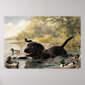 Schwarzer Labrador Welpe, Labrador Jagdposter Poster (Vorne)