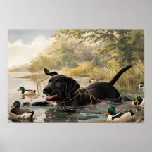 Schwarzer Labrador Welpe, Labrador Jagdposter