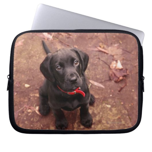 Schwarzer Labrador-Welpe Laptopschutzhülle (Vorderseite)