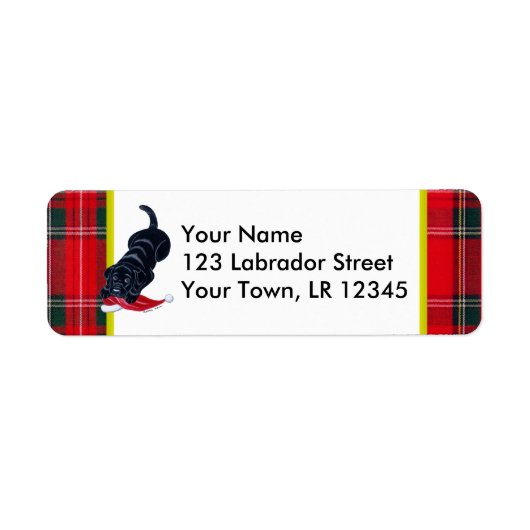 Schwarzer Labrador Welpe mit Weihnachtsmannmütze W (Vorne)