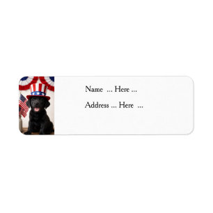Schwarzer Labrador-Welpe Patriotische Sommerparty-