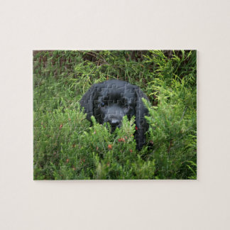 Schwarzer Labrador-Welpe Puzzle