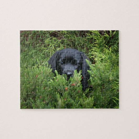 Schwarzer Labrador-Welpe Puzzle (Horizontal)