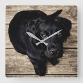 Schwarzer Labrador-Welpe Quadratische Wanduhr (Vorderseite)