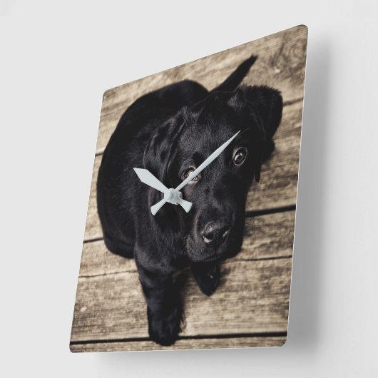 Schwarzer Labrador-Welpe Quadratische Wanduhr (Winkel)