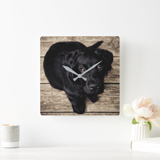 Schwarzer Labrador-Welpe Quadratische Wanduhr (Zuhause)