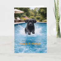 Schwarzer Labrador Welpe springt ins Schwimmbecken