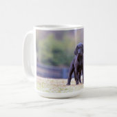 Schwarzer Labrador-Welpe stehend Kaffeetasse (Vorderseite Links)