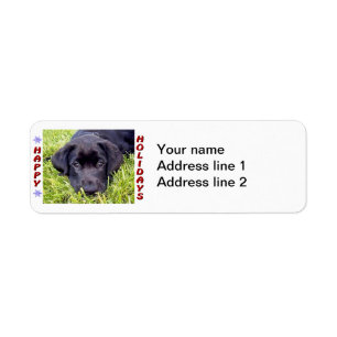 Schwarzer Labrador-Welpen-glücklicher