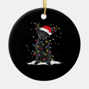 Schwarzer Labrador Xmas Hund Weihnachtsbaum Licht  Keramik Ornament