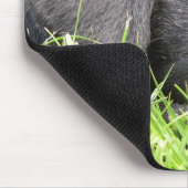 Schwarzer LabradorDaydreamer Mousepad (Ecke)