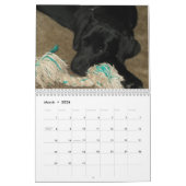 Schwarzer Labradorlabrador-Retrieverkalender Kalender (Mär 2026)